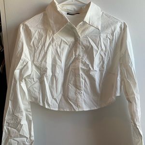 Curved hem crop blouse